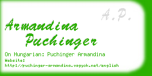 armandina puchinger business card
